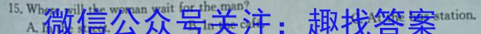 安徽省2024届九年级期末综合评估4L R英语