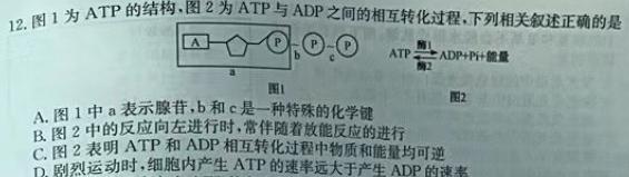 文博志鸿 2024年河北省初中毕业生升学文化课模拟考试(预测四)生物学部分