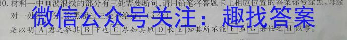 ʡ2023~2024ѧѧڸ߶ĩԾ(242481D)xԾ