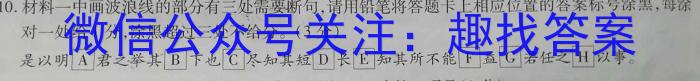 河南省24届九年级综合素养质量调研（1月）/语文