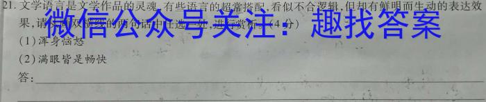 安徽省天长市2024年中考第一次模拟考试语文