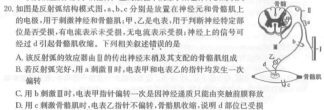 HN优视2023-2024下学期九年级大联考三生物