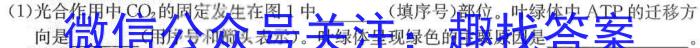 安徽省十联考 合肥一中2023~2024学年度高一下学期期末联考生物学试题答案