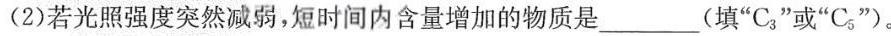 天一大联考 焦作市普通高中2023-2024学年(下)高二期末考试生物