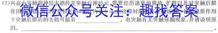 2024年广东省普通高中学业水平选择考模拟测试(二)生物学试题答案