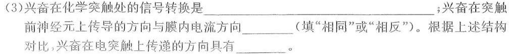 金科大联考 高二2023~2024学年度下学期期末质量检测(24698B)生物学部分