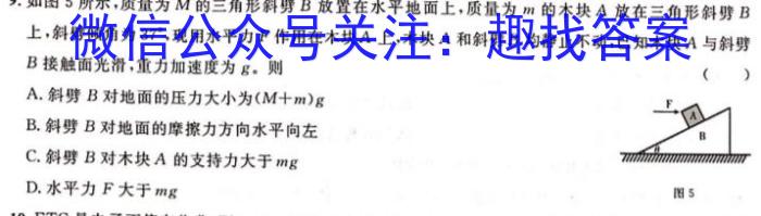 安徽省泗县2023-2024学年度第一学期八年级期末质量检测l物理