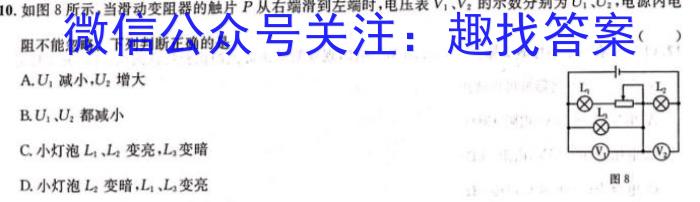 安徽省六安一中2024年春季学期高二年级期中考试物理试卷答案