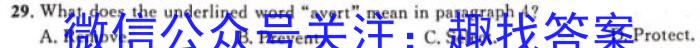河南省新野县2024年春期期终质量评估八年级英语