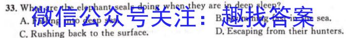 河北省NT2023-2024学年第二学期高三年级收心考试英语