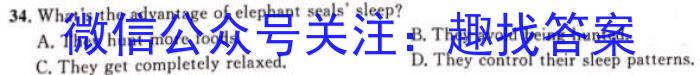 广东省2023-2024学年度高三5月联考(24065C)英语