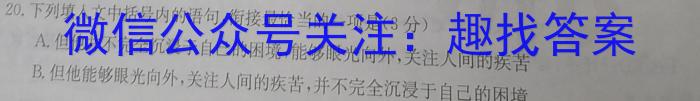 NT20名校联合体高一年级12月考试语文