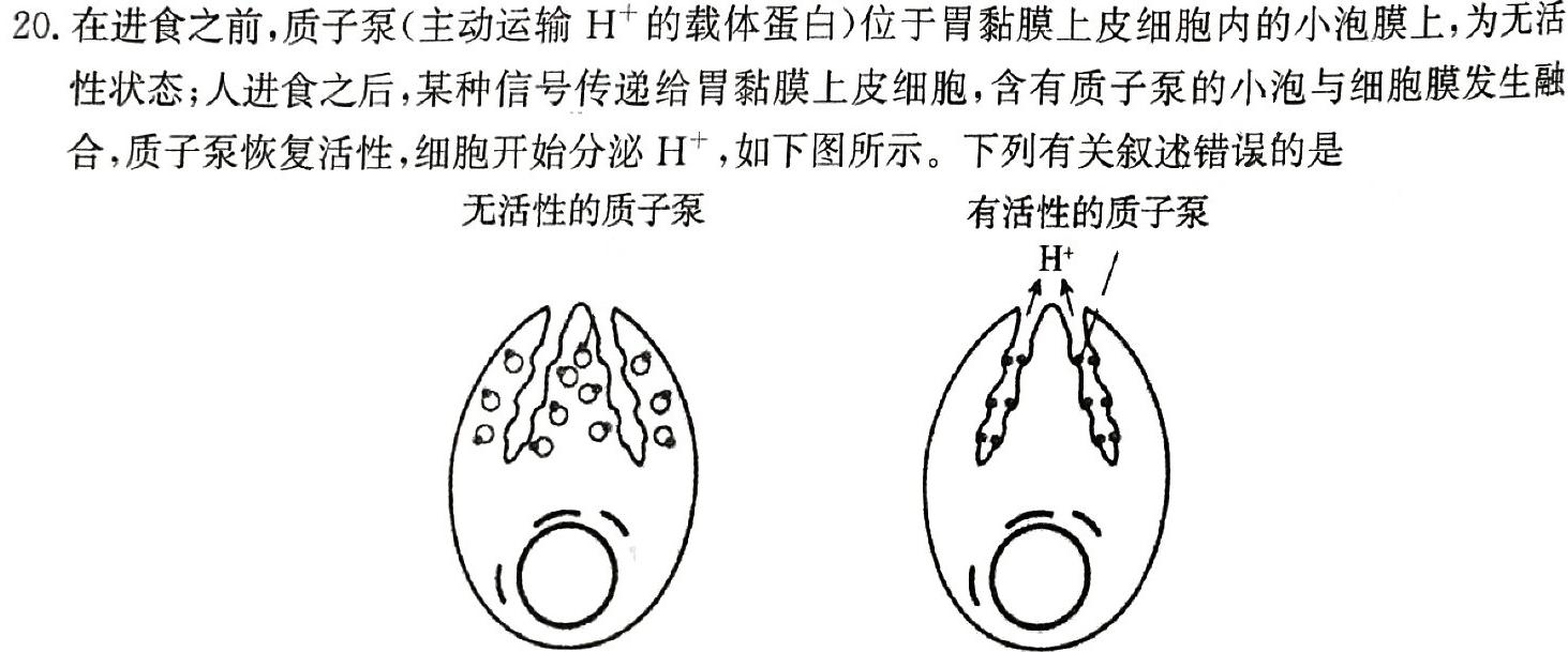 青海省2024年高三模拟考试(III)生物学部分