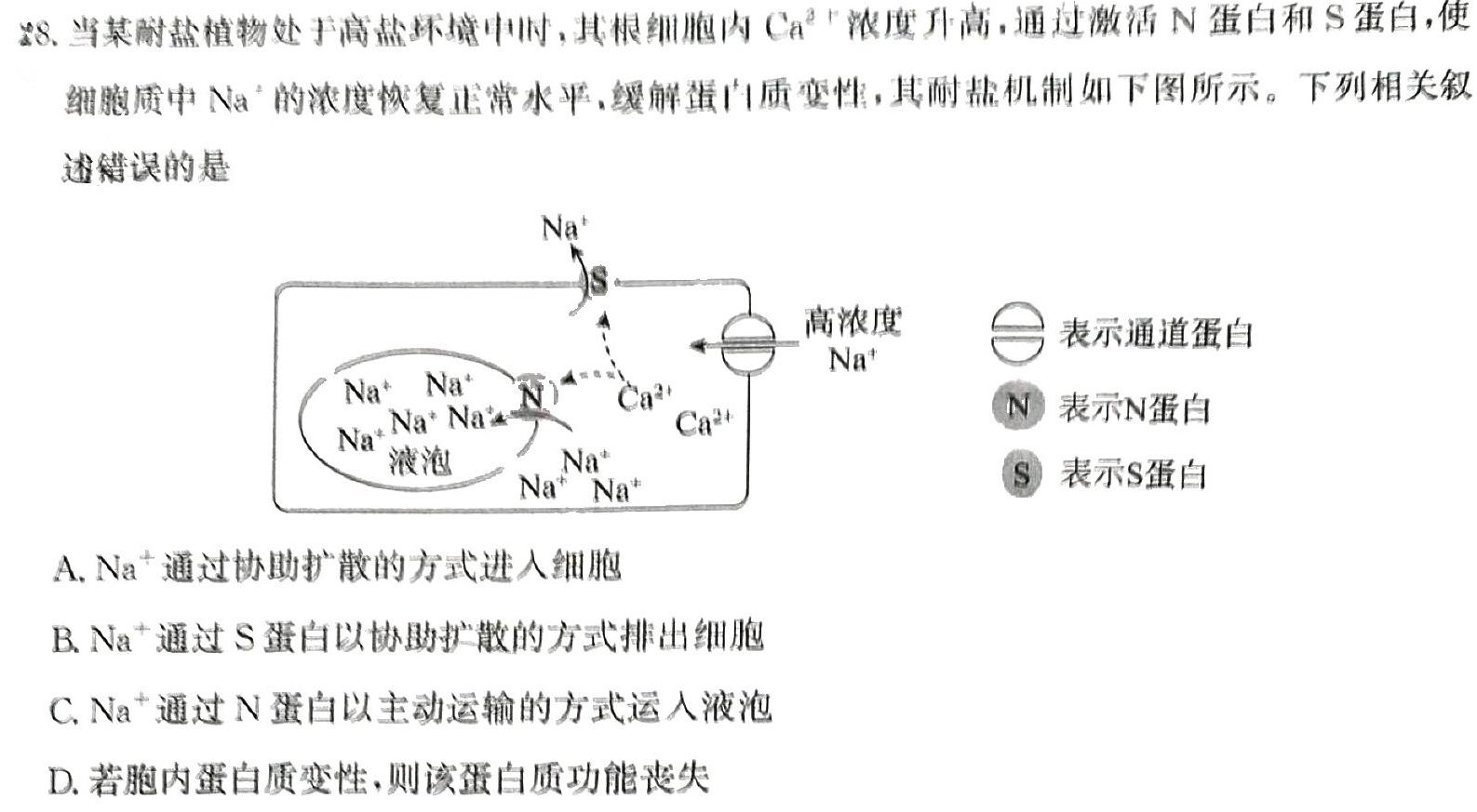 ［广东大联考］广东省2024届高三年级5月联考生物