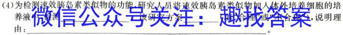 襄阳市优质高中2024届高三联考（2月）生物学试题答案