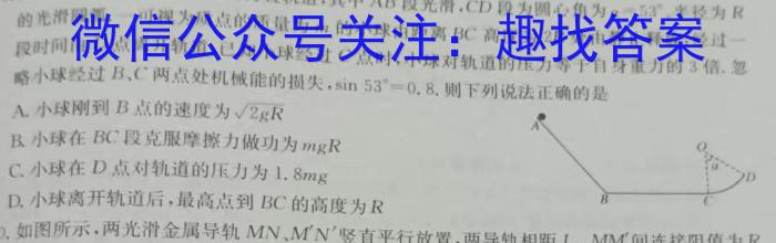 天一大联考 焦作市普通高中2024-2025学年(上)高三期中考试物理试题答案