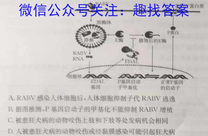 安徽省阜阳市2023-2024学年度八年级第三次月考检测（三）△生物学试题答案