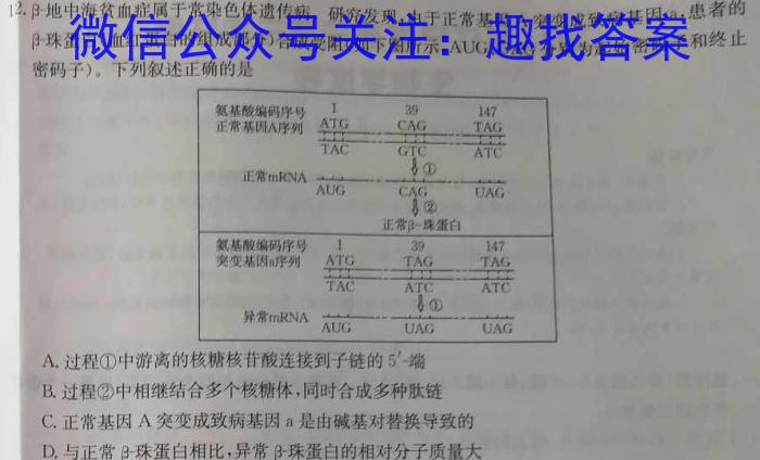 2024届辽宁省高三联考(404C)生物学试题答案