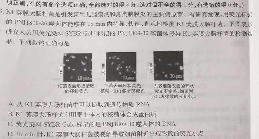 安徽省2023-2024年下学期八年级卷二生物学部分