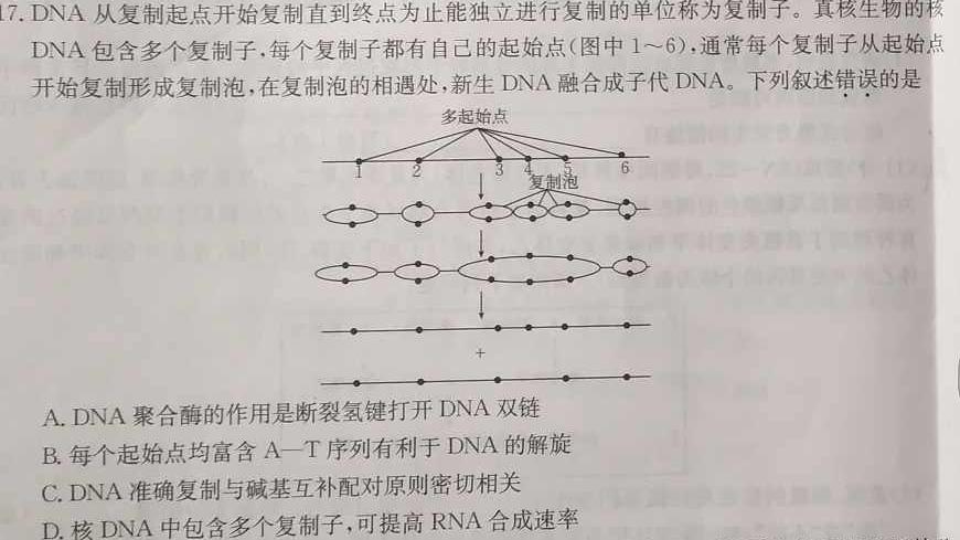 同步达标自主练习·安徽省2023-2024八年级无标题考试(圆圈序号七)生物学部分