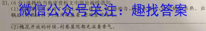 衡水金卷先享题广东省2024届高三2月份大联考/语文