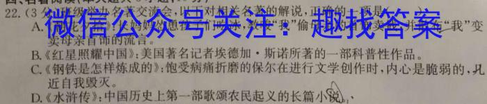 2024年陕西省初中学业水平考试名师导向模拟卷(二)语文