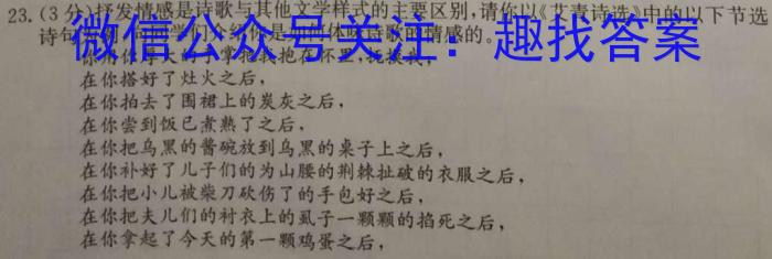 安徽省2024届高三年级上学期1月期末联考语文