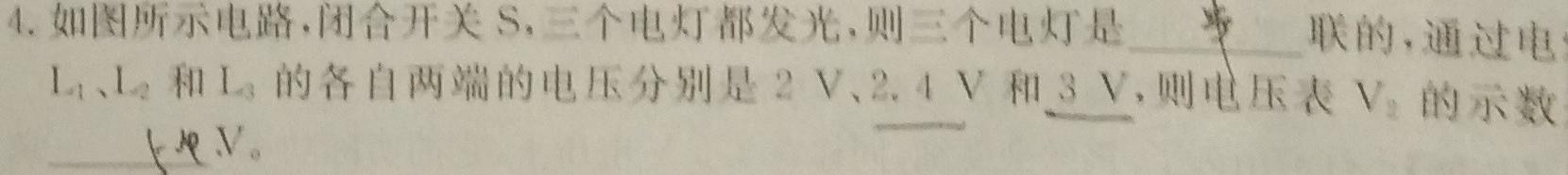 [今日更新]NT2023-2024学年第二学期高二年级收心考试.物理试卷答案