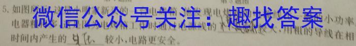 2024年全国普通高等学校招生统一考试·A区专用 JY高三冲刺卷(四)4物理试卷答案