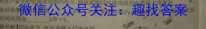 安徽鼎尖教育 2024届高二4月期中考试物理`