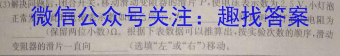 河南省部分学校2024年九年级一模考试物理试卷答案