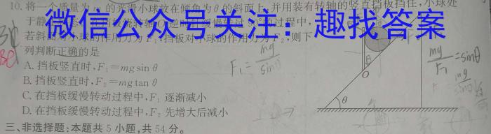 名校计划2024年河北省中考适应性模拟检测（强化型）物理试题答案