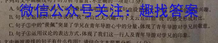[һ]и2021һϿxԾ