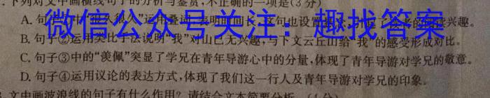 安徽省2023-2024学年八年级下学期教学质量调研(2月)/语文