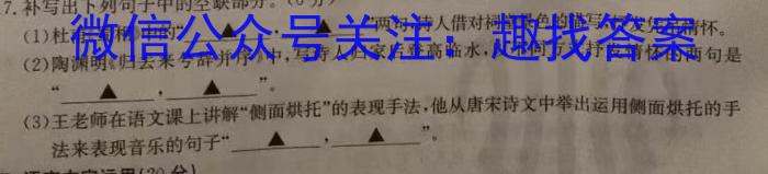 河北省保定市2023-2024学年高三第二次模拟考试(24-453C)语文