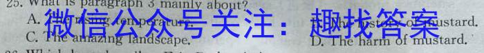 河南省2023-2024学年九年级第一学期学习评价（4）英语试卷答案