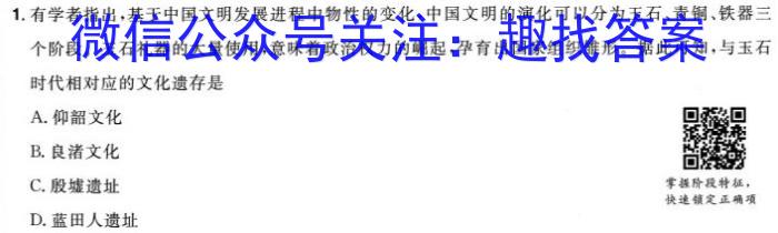 河南省驻马店市2023-2024学年度第一学期九年级阶段监测（三）历史试卷答案