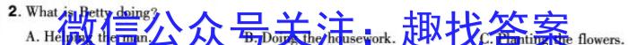 佩佩教育2024年普通高校招生统一考试金榜题名卷英语