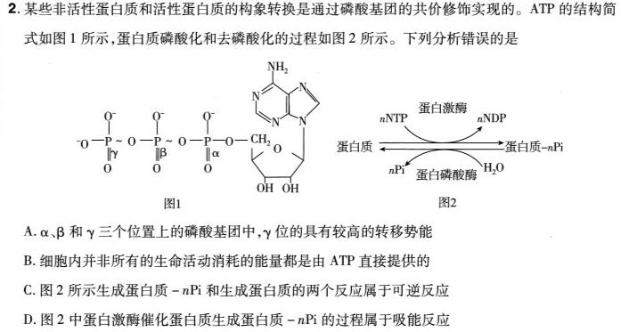 福建省名校联盟全国优质校2024届高三大联考(2024.2)生物学部分