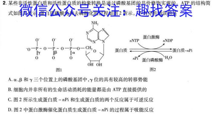 2024年河北省初中毕业生升学文化课考试模拟(八)8生物学试题答案