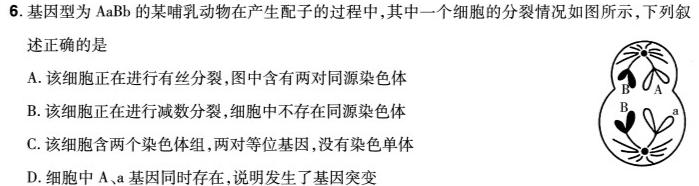 湖北新高考协作体2024年普通高等学校招生全国统一考试模拟试题(三)生物