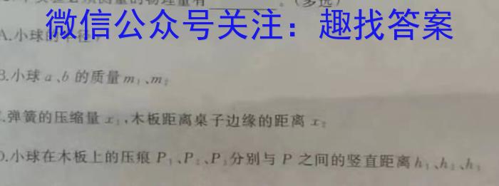 2025年普通高等学校全国统一模拟招生考试 金科·新未来10月联考(高三)物理试题答案