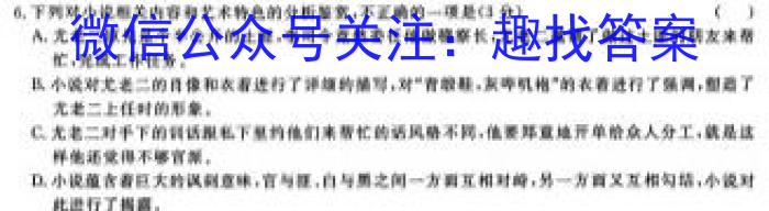 安徽省2023-2024学年度上学期九年级第二次过程性评价语文