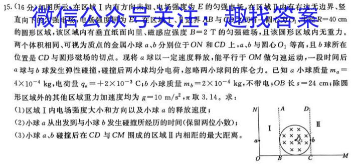 2024届皖江名校联盟高三下学期4月联考[F-024]物理试卷答案