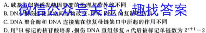 湖北省重点高中智学联盟2023年秋季高二年级12月联考生物学试题答案