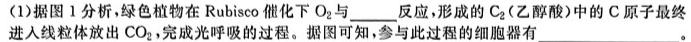 [烟台/德州二模]2024年高考适应性练习生物学试题答案