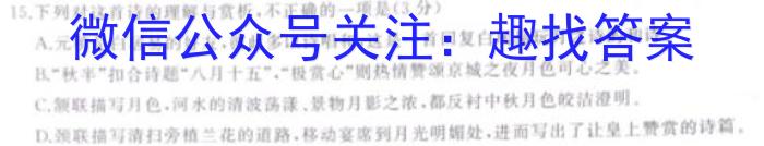 山东省济南市2024年高新区学考一轮复习诊断测试（九年级）/语文