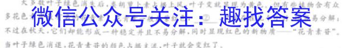 2024河南中考仿真模拟试卷（一）/语文