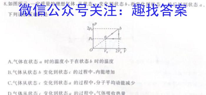 广东省揭阳市2024年普通高中高三级教学质量测试物理试卷答案