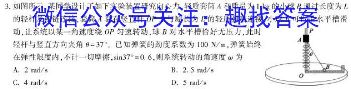 衡水金卷2024版先享卷答案调研卷 新教材卷四物理试卷答案